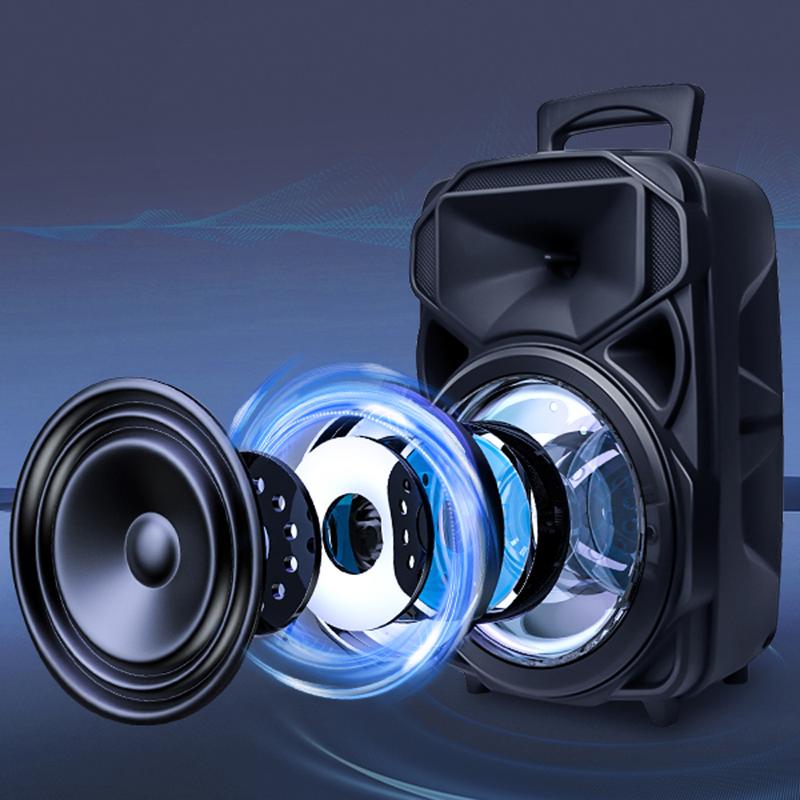 Portable Speaker system With Microphone Rechargeable Wireless Party Speaker 8inch Party Box Bluetooth FM Radio LED Lighting Audio Remote Control