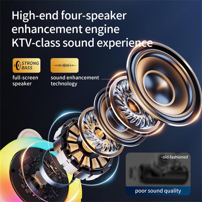 Karaoke Machine with 2-Wireless Microphones, Speaker with Bass Treble Adjustment, Portable USB Rechargeable BT Speaker with LED Light, Supports TF Card, AUX, REC, TWS