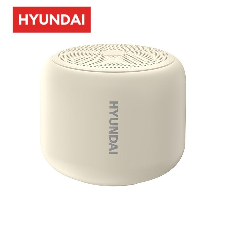 Hyundai HY-X6 Portable Bluetooth Speaker,IPX7 Waterproof Type-C, 8 Hours Battery Life,Speaker for Home, Outdoors, Travel